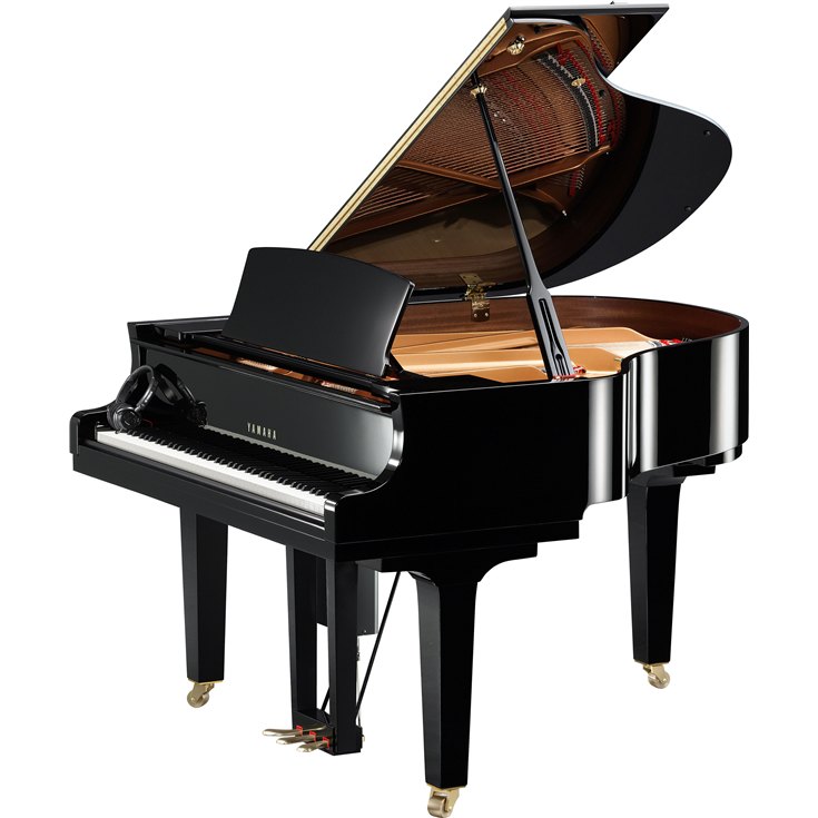 yamaha_dc1x_enst.jpg